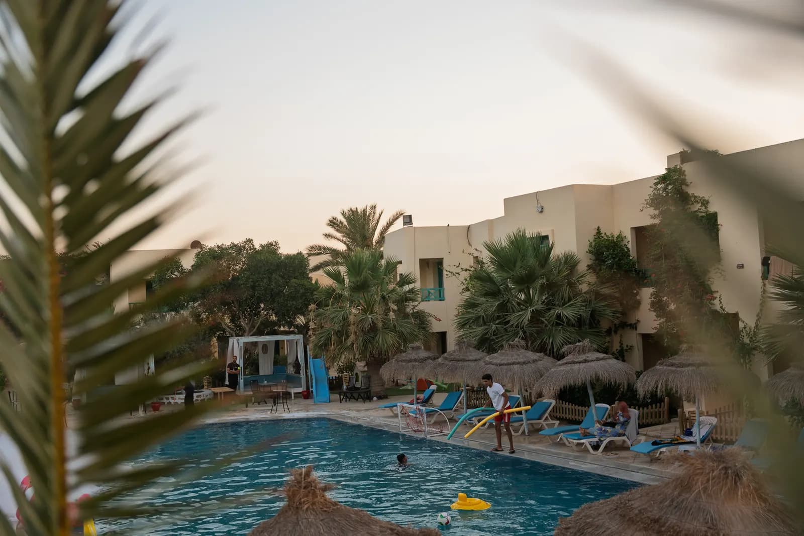La piscine vue à travers les palmes